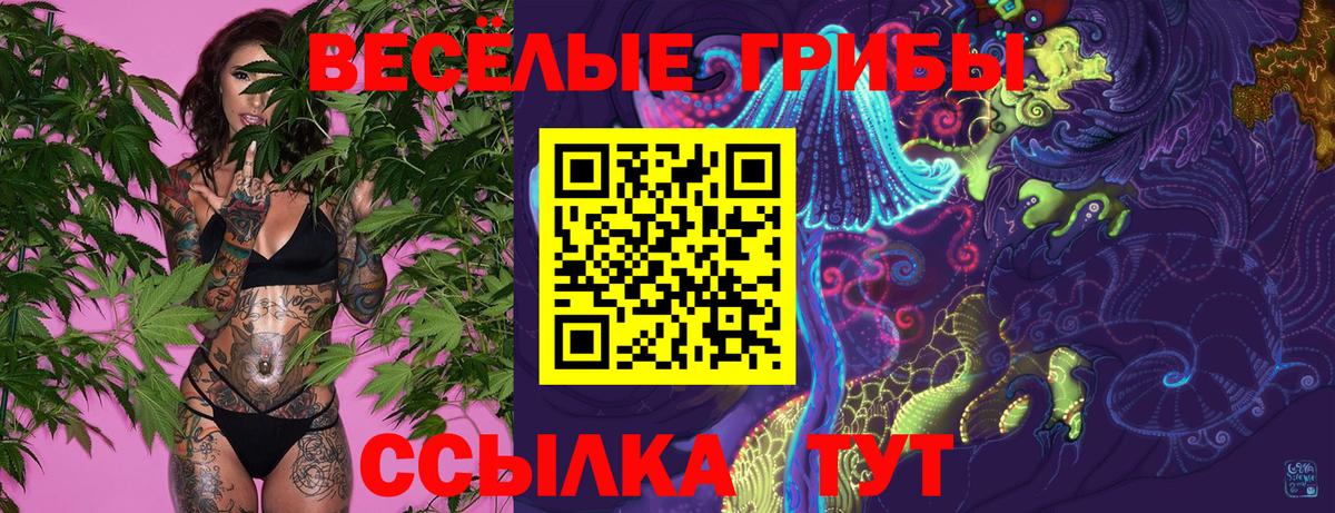 Воскресенск  Псилоцибиновые грибы MAGIC MUSHROOMS  Вход с VPN 